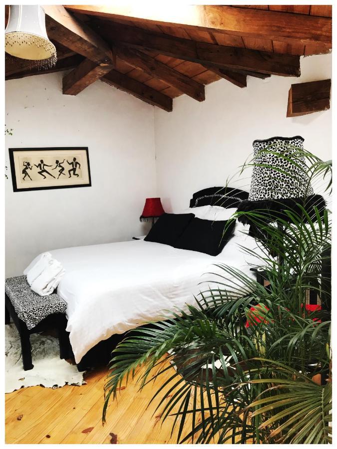 Casa Kitsch Hotel Zacatlan Ngoại thất bức ảnh