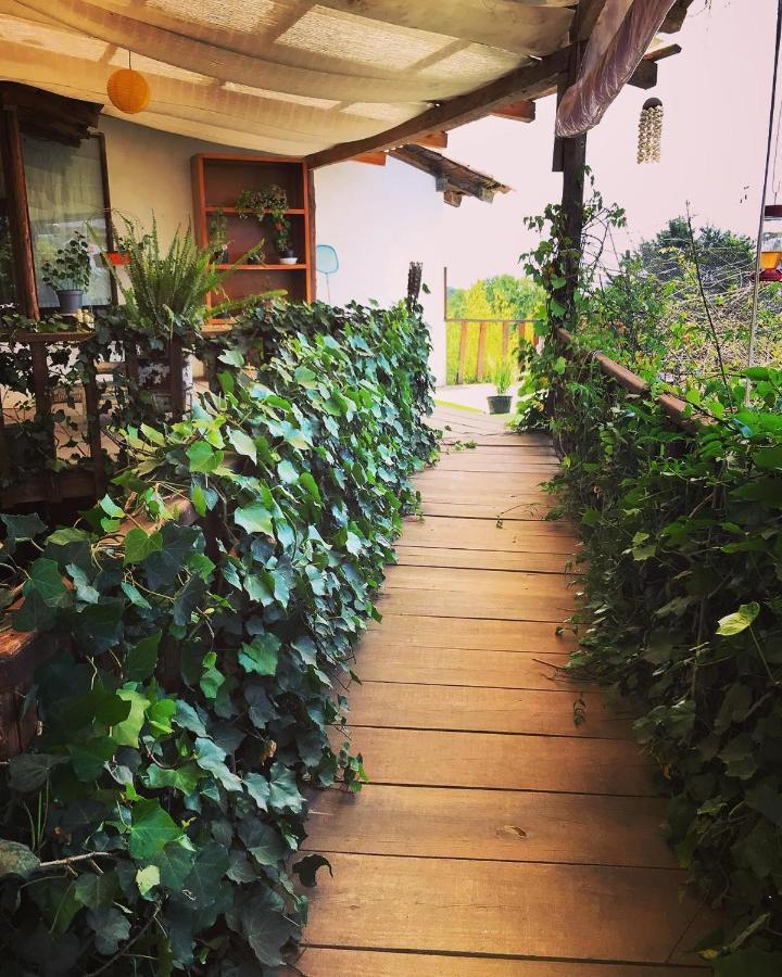 Casa Kitsch Hotel Zacatlan Ngoại thất bức ảnh